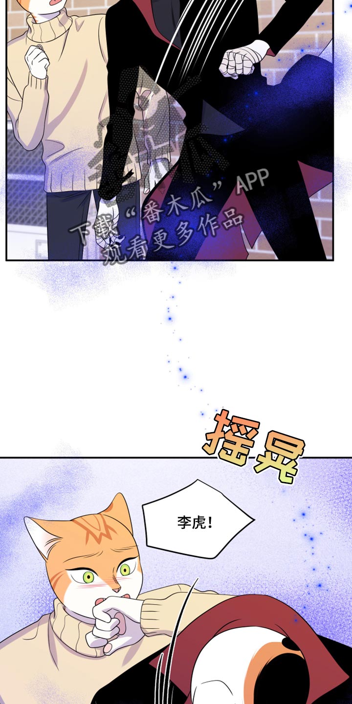 《灵猫欧米伽》漫画最新章节第49章：让我保护你免费下拉式在线观看章节第【29】张图片