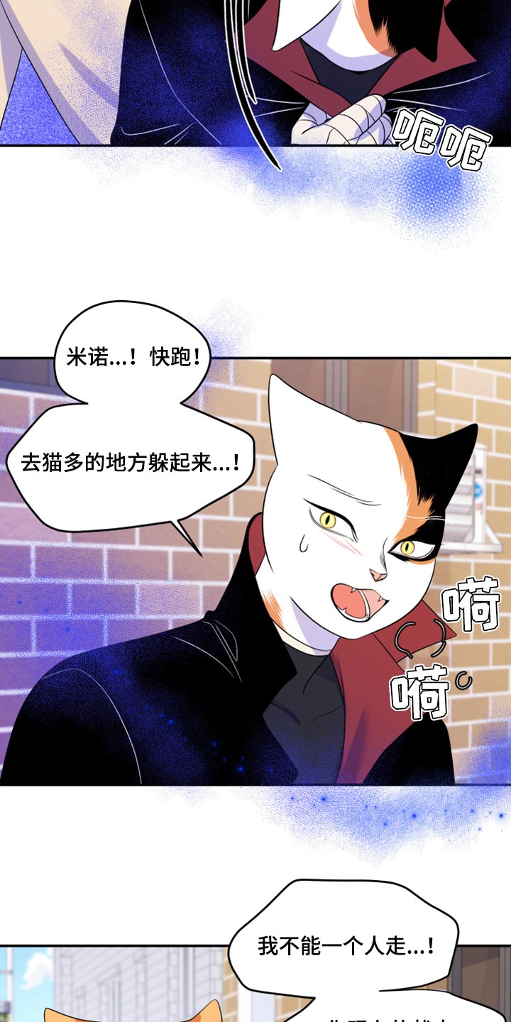 《灵猫欧米伽》漫画最新章节第49章：让我保护你免费下拉式在线观看章节第【28】张图片