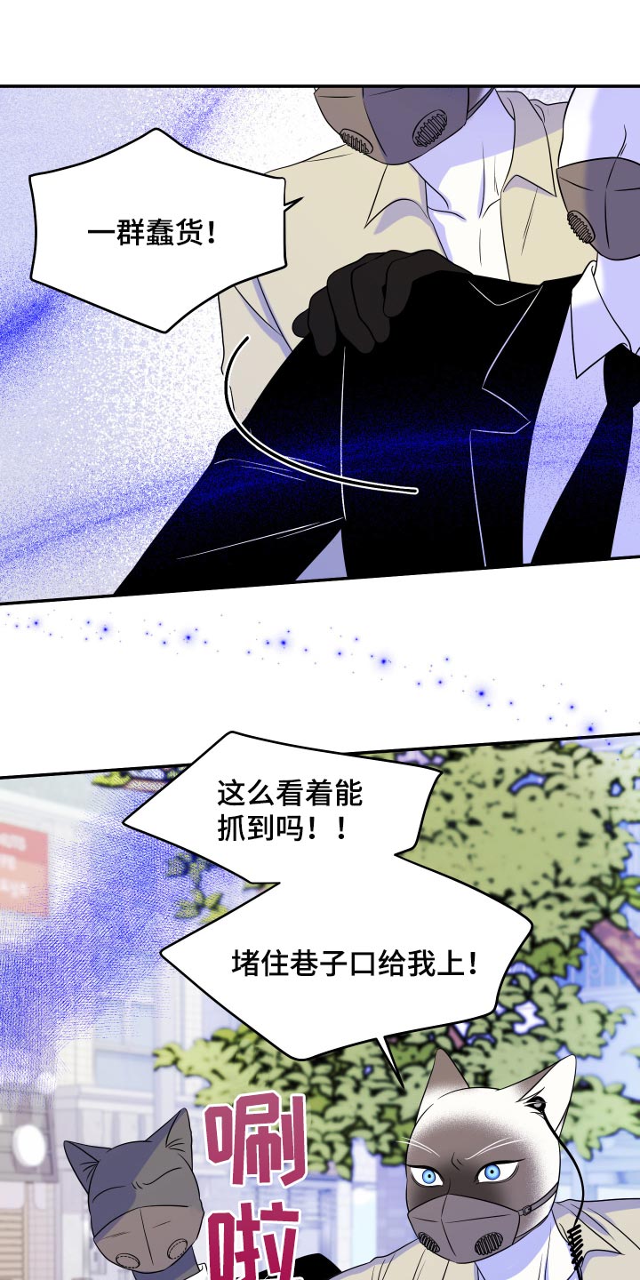 《灵猫欧米伽》漫画最新章节第49章：让我保护你免费下拉式在线观看章节第【19】张图片