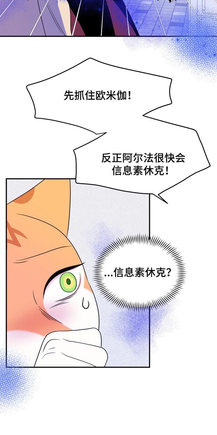 《灵猫欧米伽》漫画最新章节第49章：让我保护你免费下拉式在线观看章节第【25】张图片