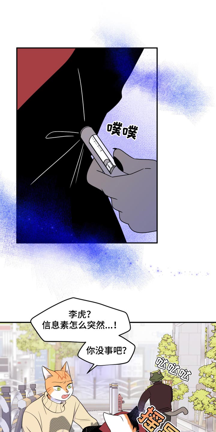 《灵猫欧米伽》漫画最新章节第49章：让我保护你免费下拉式在线观看章节第【37】张图片