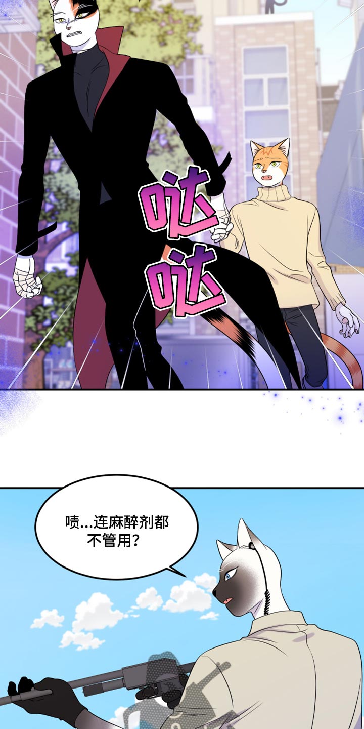 《灵猫欧米伽》漫画最新章节第49章：让我保护你免费下拉式在线观看章节第【32】张图片