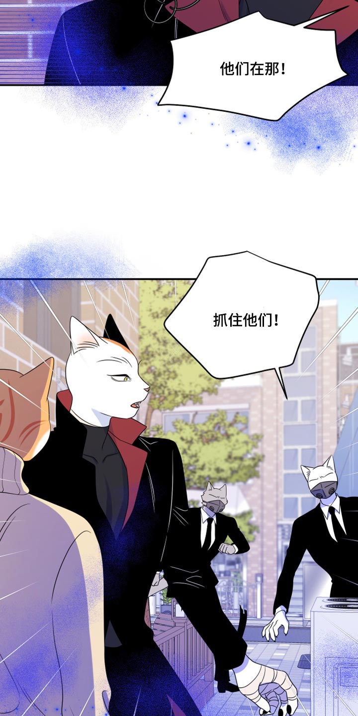 《灵猫欧米伽》漫画最新章节第49章：让我保护你免费下拉式在线观看章节第【26】张图片