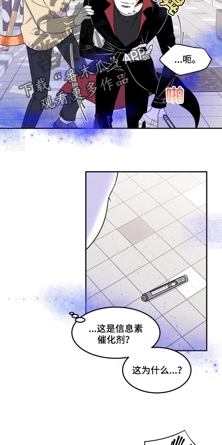 《灵猫欧米伽》漫画最新章节第49章：让我保护你免费下拉式在线观看章节第【36】张图片