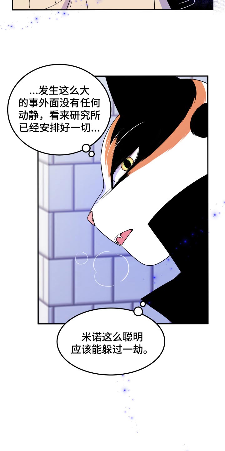 《灵猫欧米伽》漫画最新章节第49章：让我保护你免费下拉式在线观看章节第【5】张图片