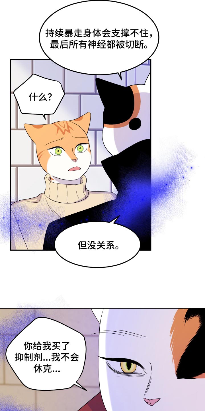 《灵猫欧米伽》漫画最新章节第49章：让我保护你免费下拉式在线观看章节第【9】张图片