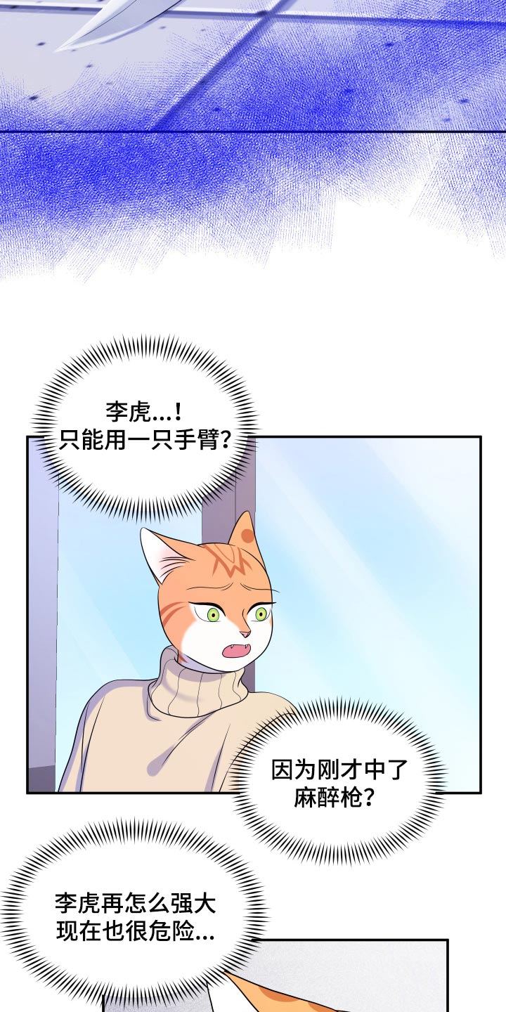 《灵猫欧米伽》漫画最新章节第50章：恶斗免费下拉式在线观看章节第【21】张图片