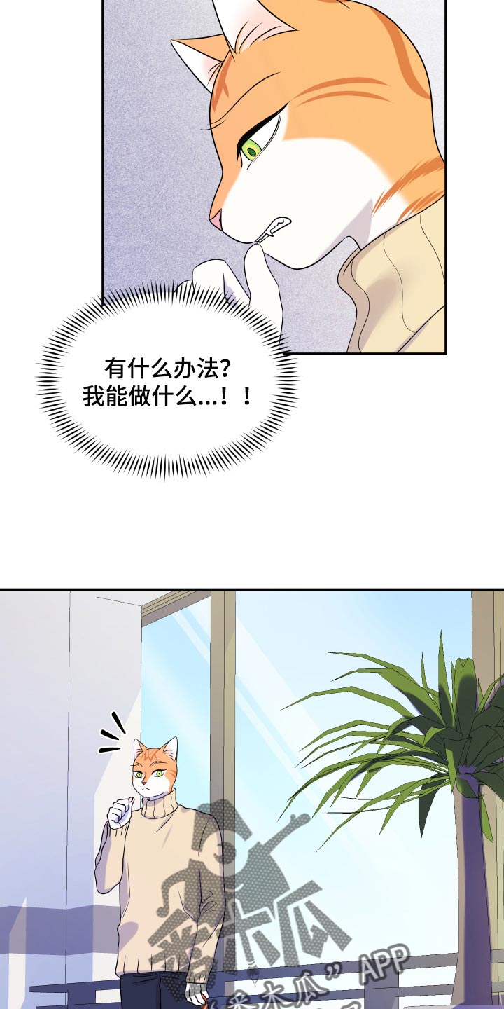 《灵猫欧米伽》漫画最新章节第50章：恶斗免费下拉式在线观看章节第【20】张图片