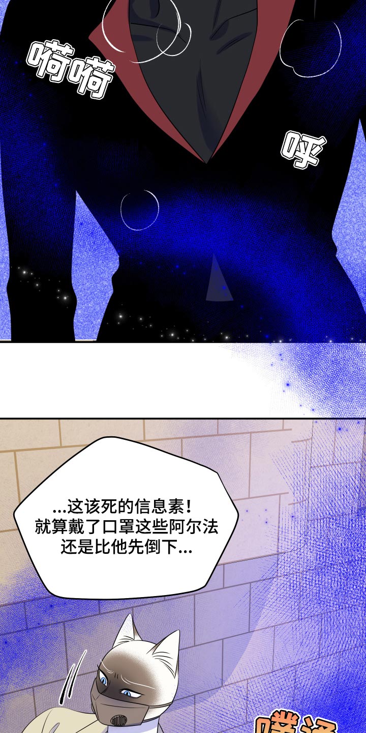 《灵猫欧米伽》漫画最新章节第50章：恶斗免费下拉式在线观看章节第【18】张图片