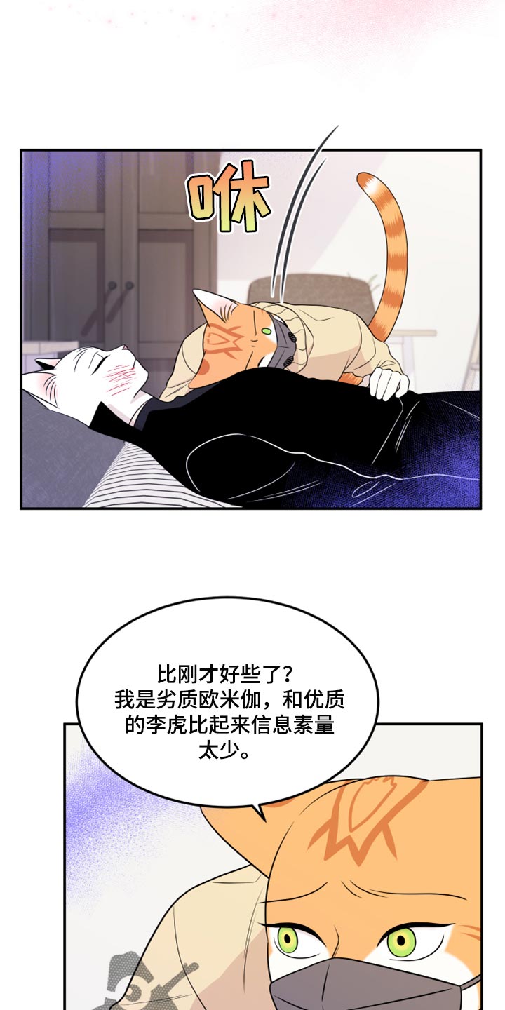 《灵猫欧米伽》漫画最新章节第51章：决定免费下拉式在线观看章节第【16】张图片