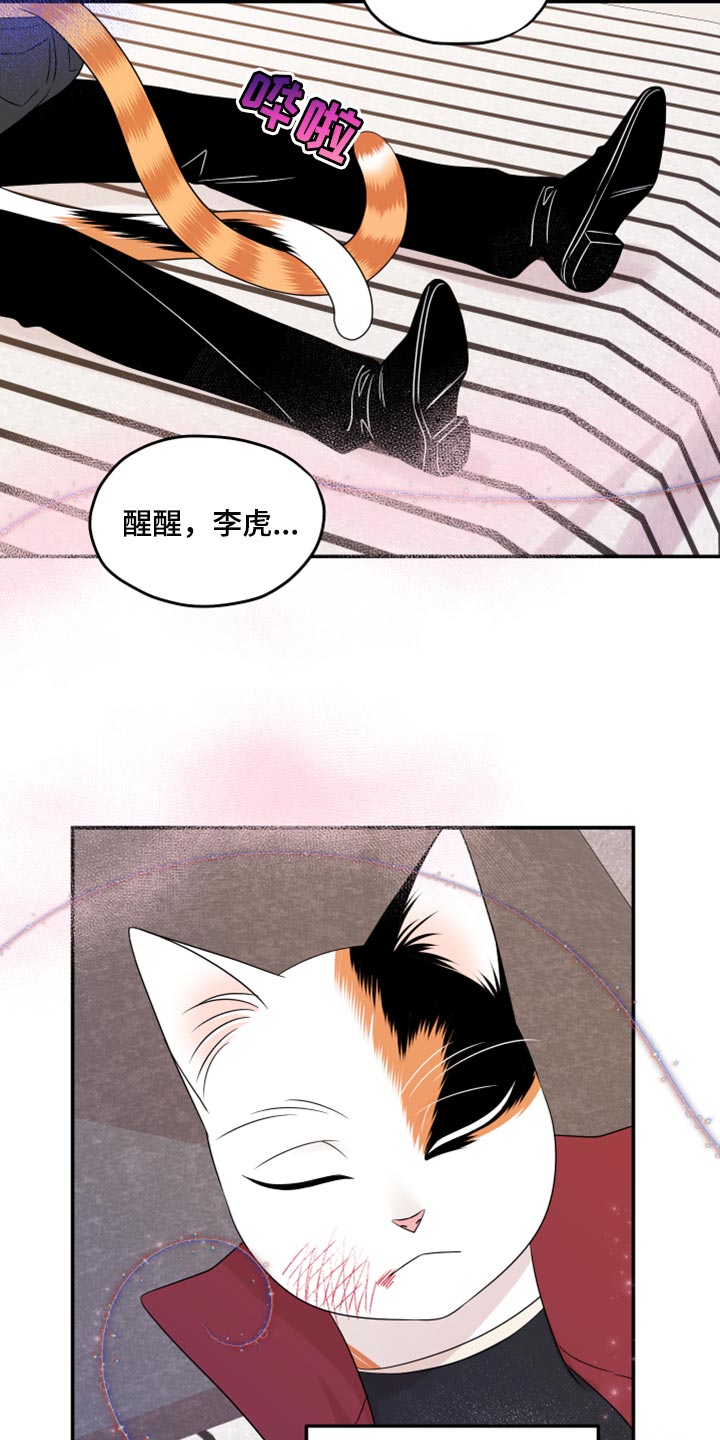 《灵猫欧米伽》漫画最新章节第51章：决定免费下拉式在线观看章节第【3】张图片