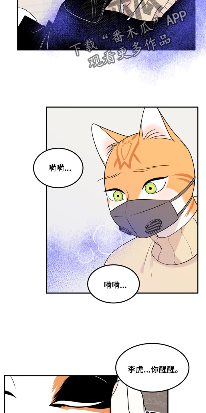 《灵猫欧米伽》漫画最新章节第51章：决定免费下拉式在线观看章节第【22】张图片