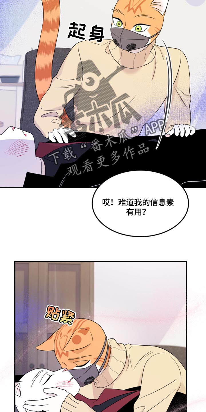 《灵猫欧米伽》漫画最新章节第51章：决定免费下拉式在线观看章节第【18】张图片