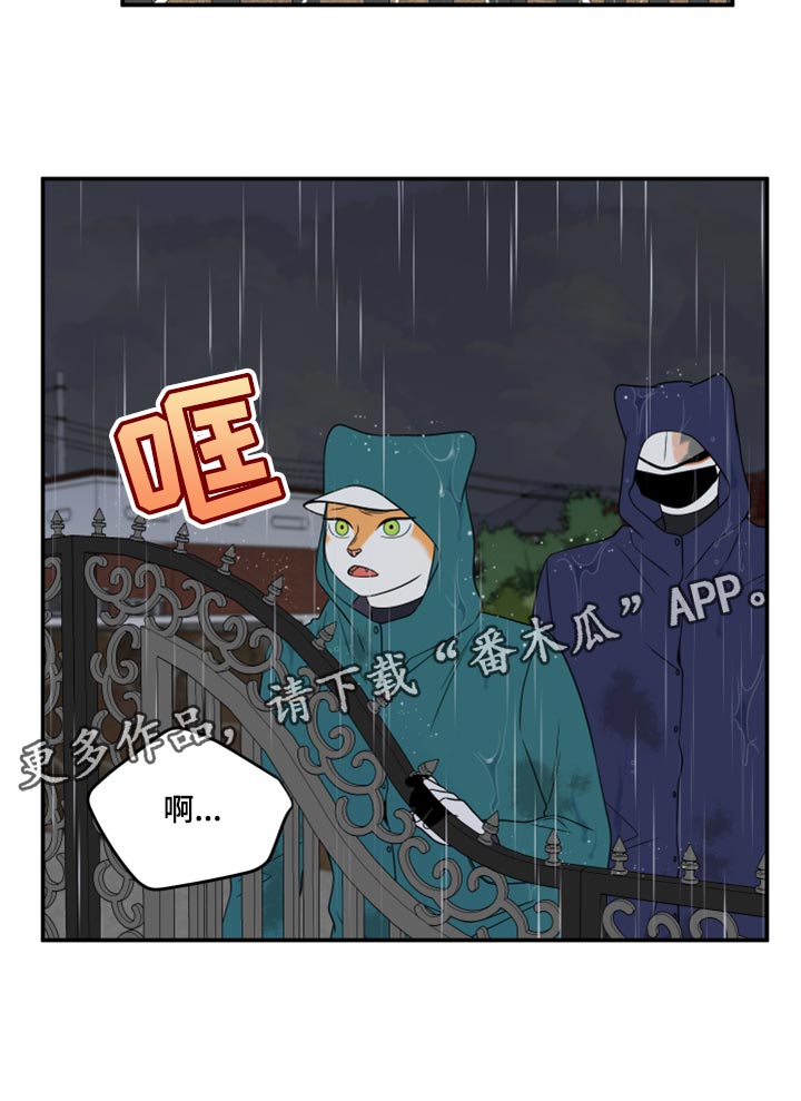 《灵猫欧米伽》漫画最新章节第53章：【第二季】逃跑之路免费下拉式在线观看章节第【1】张图片