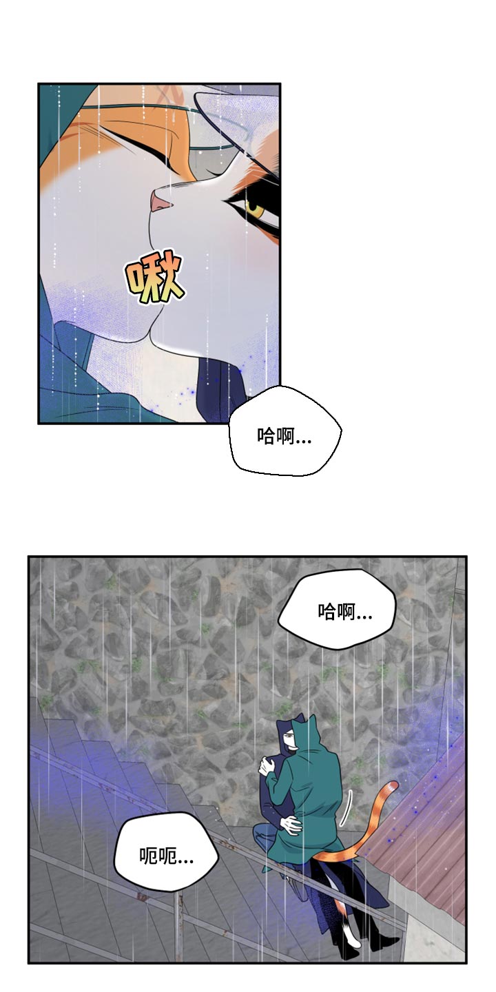 《灵猫欧米伽》漫画最新章节第53章：【第二季】逃跑之路免费下拉式在线观看章节第【10】张图片