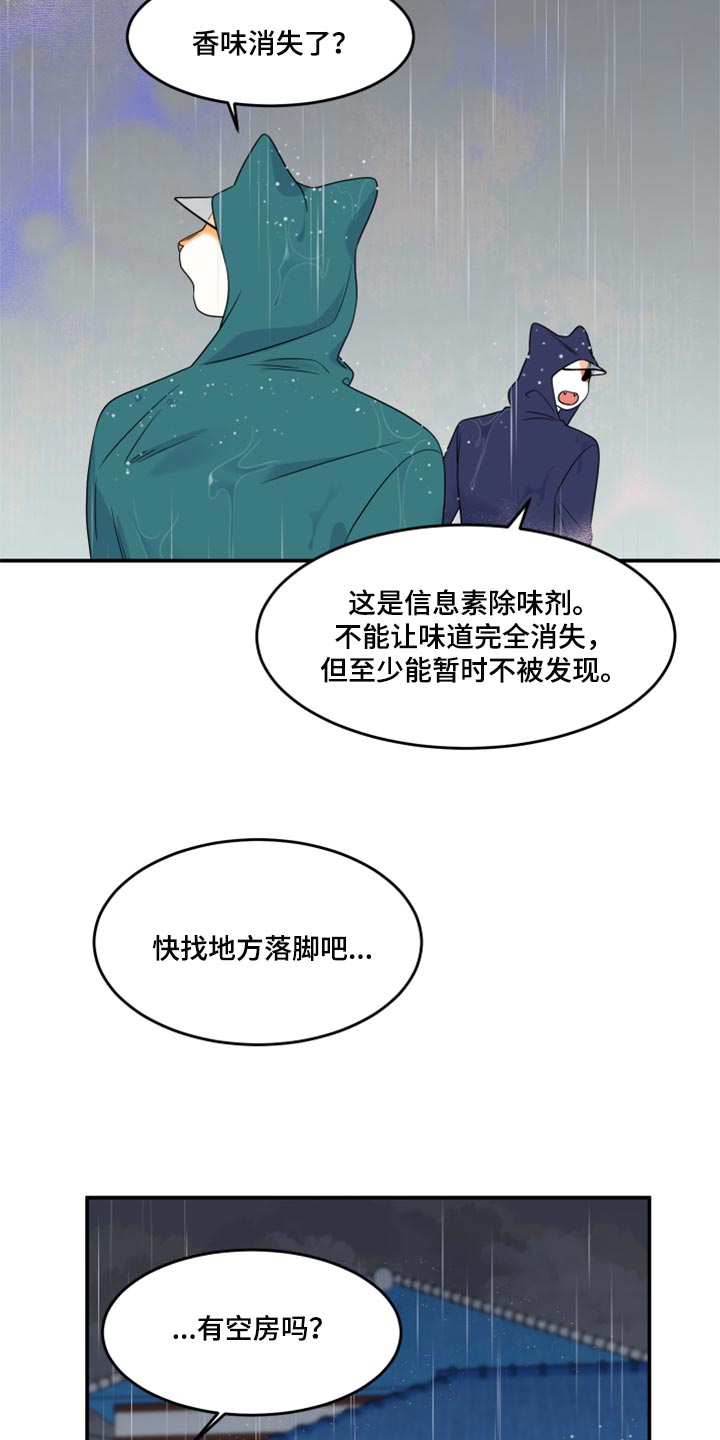 《灵猫欧米伽》漫画最新章节第53章：【第二季】逃跑之路免费下拉式在线观看章节第【4】张图片