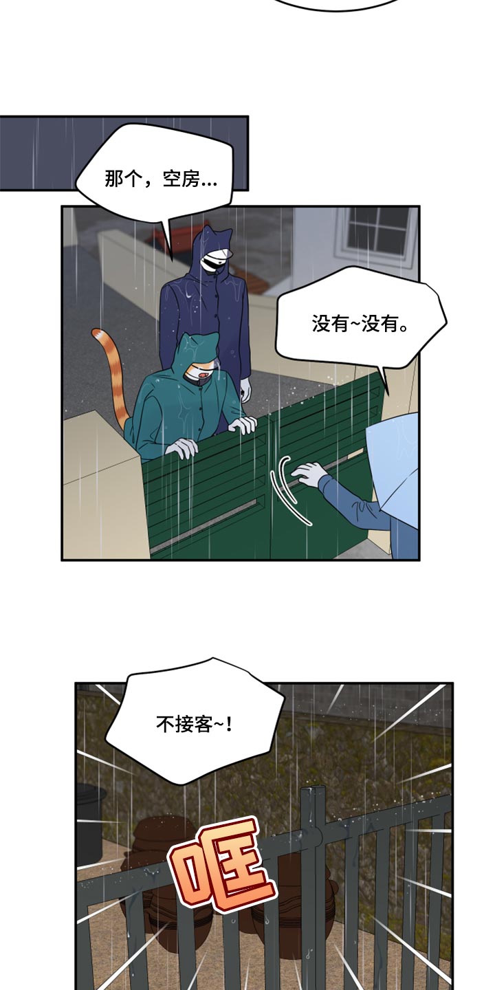 《灵猫欧米伽》漫画最新章节第53章：【第二季】逃跑之路免费下拉式在线观看章节第【2】张图片