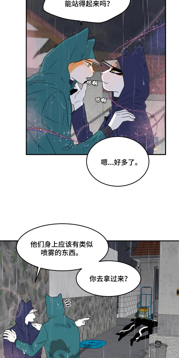 《灵猫欧米伽》漫画最新章节第53章：【第二季】逃跑之路免费下拉式在线观看章节第【7】张图片