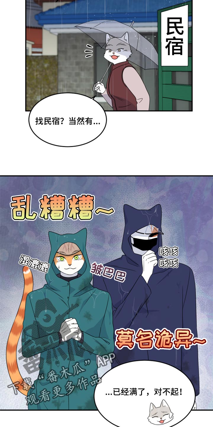 《灵猫欧米伽》漫画最新章节第53章：【第二季】逃跑之路免费下拉式在线观看章节第【3】张图片