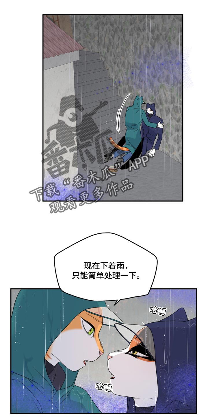 《灵猫欧米伽》漫画最新章节第53章：【第二季】逃跑之路免费下拉式在线观看章节第【11】张图片