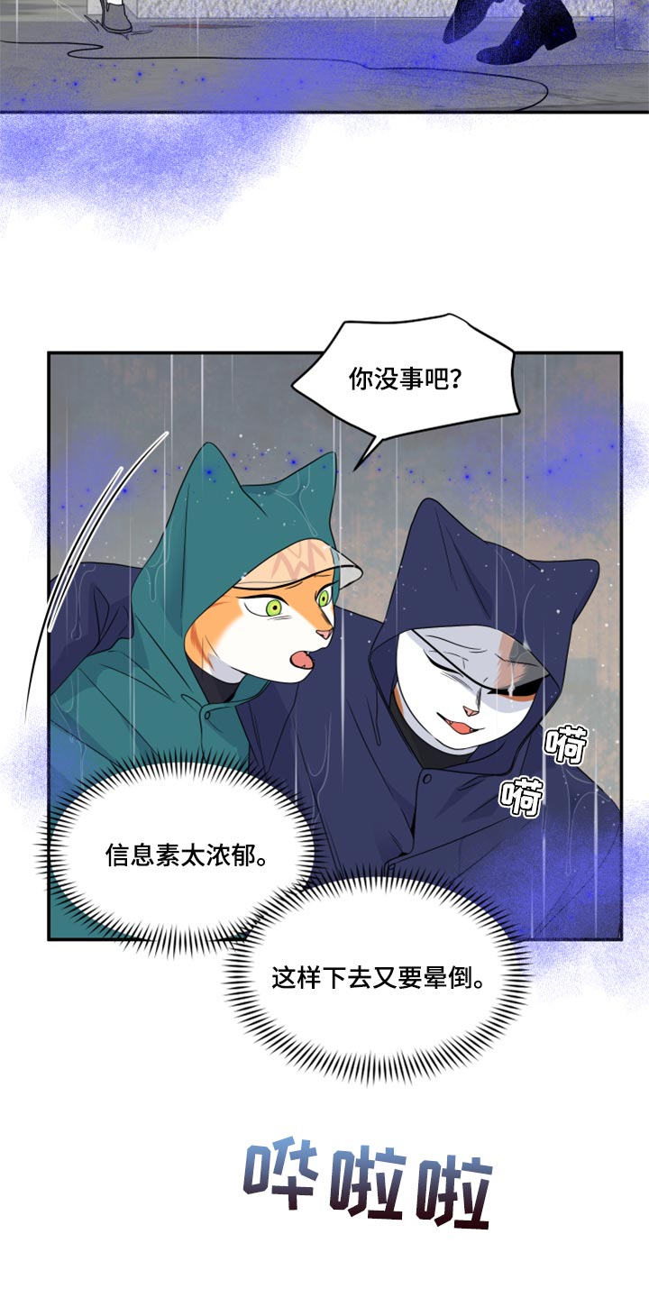 《灵猫欧米伽》漫画最新章节第53章：【第二季】逃跑之路免费下拉式在线观看章节第【12】张图片