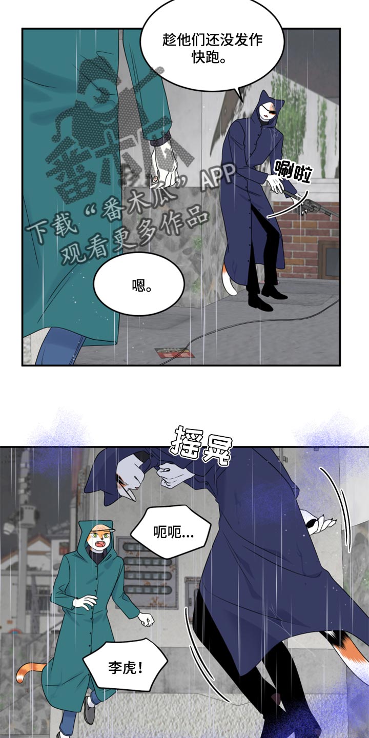 《灵猫欧米伽》漫画最新章节第53章：【第二季】逃跑之路免费下拉式在线观看章节第【13】张图片