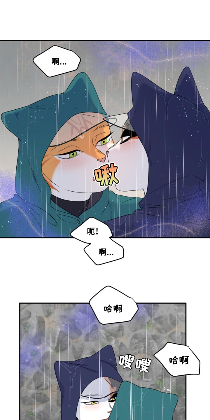 《灵猫欧米伽》漫画最新章节第53章：【第二季】逃跑之路免费下拉式在线观看章节第【9】张图片