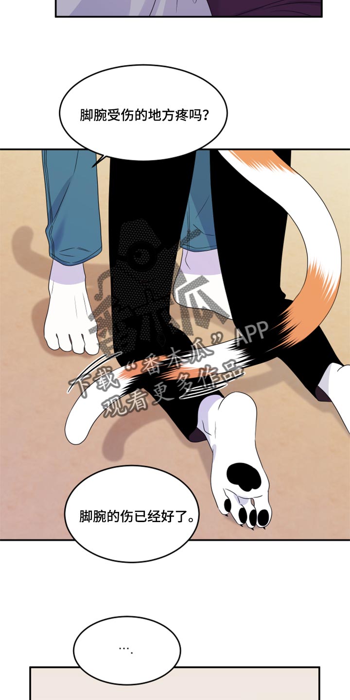 《灵猫欧米伽》漫画最新章节第54章：【第二季】你要丢下我?免费下拉式在线观看章节第【4】张图片