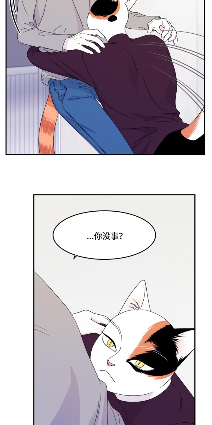 《灵猫欧米伽》漫画最新章节第54章：【第二季】你要丢下我?免费下拉式在线观看章节第【5】张图片