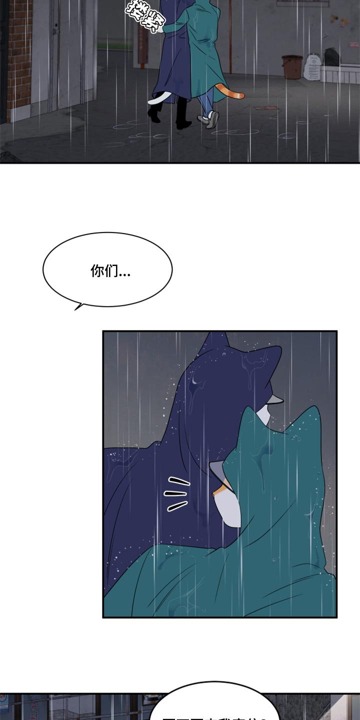 《灵猫欧米伽》漫画最新章节第54章：【第二季】你要丢下我?免费下拉式在线观看章节第【23】张图片