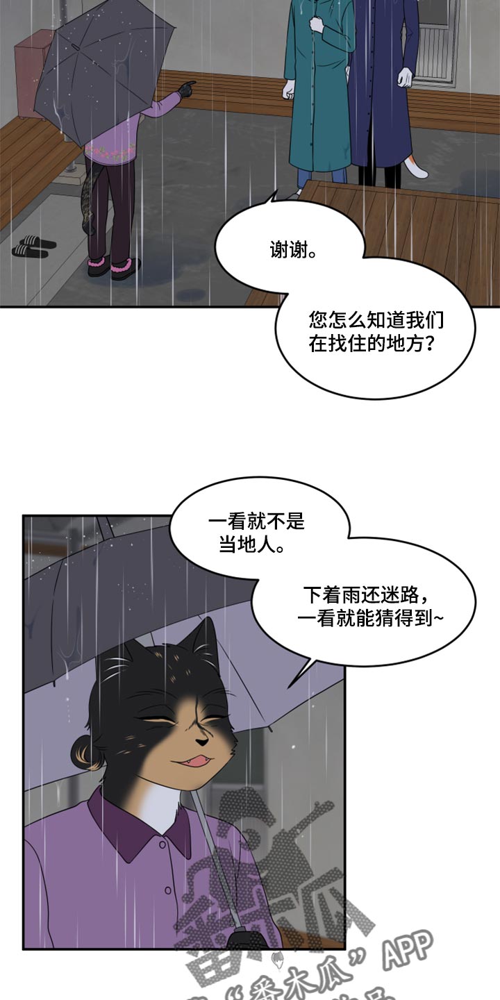 《灵猫欧米伽》漫画最新章节第54章：【第二季】你要丢下我?免费下拉式在线观看章节第【20】张图片