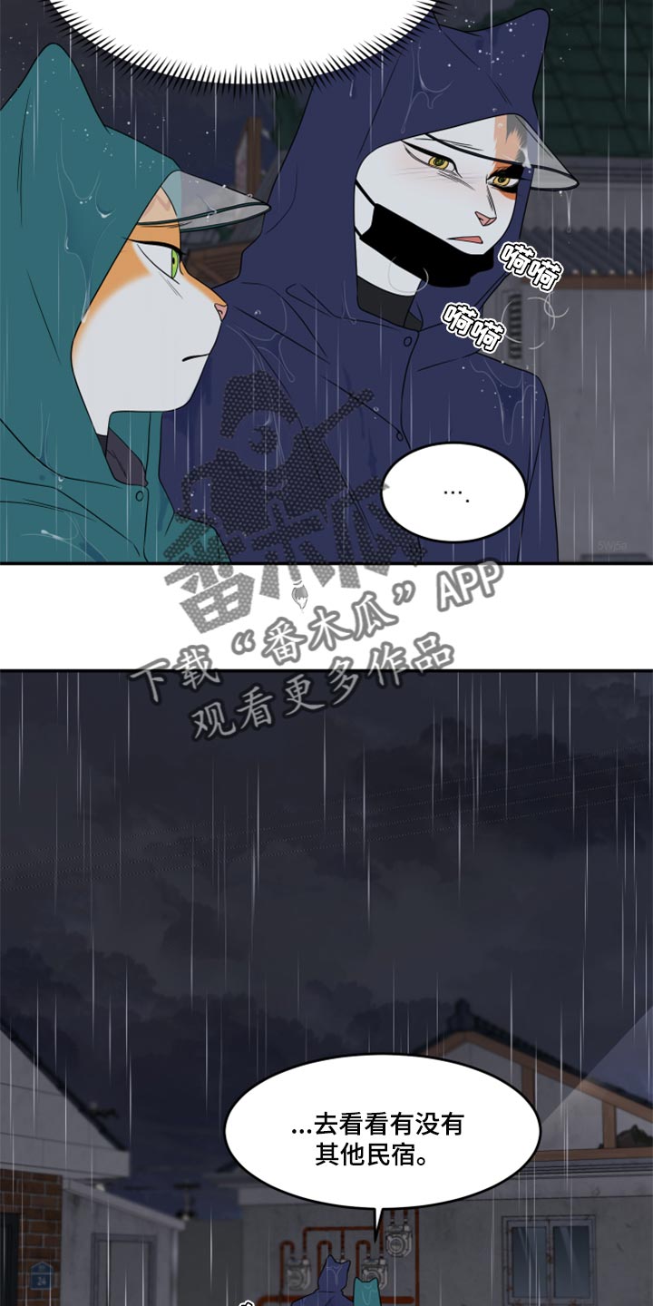 《灵猫欧米伽》漫画最新章节第54章：【第二季】你要丢下我?免费下拉式在线观看章节第【24】张图片