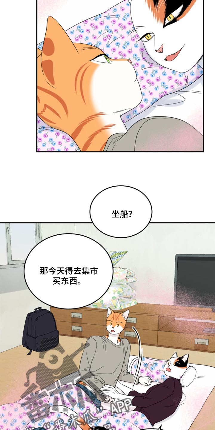 《灵猫欧米伽》漫画最新章节第54章：【第二季】你要丢下我?免费下拉式在线观看章节第【13】张图片