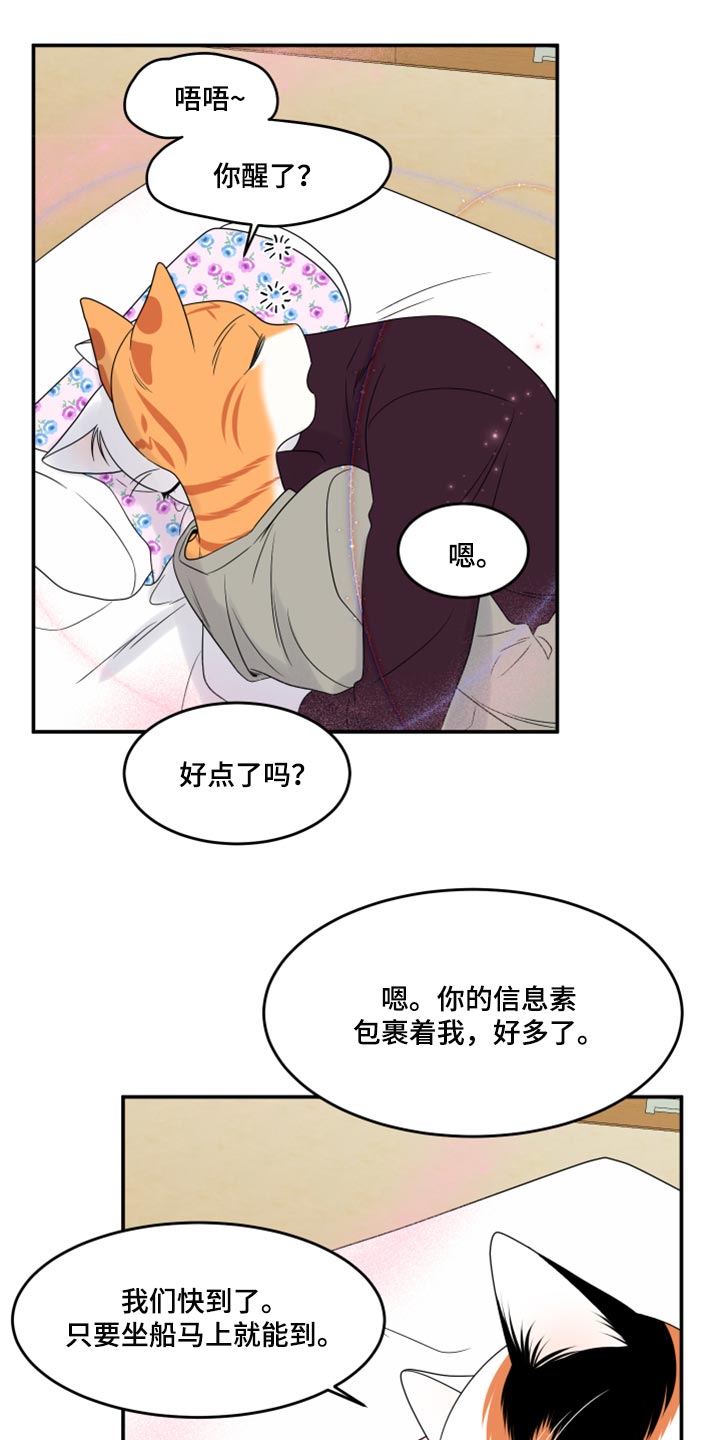 《灵猫欧米伽》漫画最新章节第54章：【第二季】你要丢下我?免费下拉式在线观看章节第【14】张图片