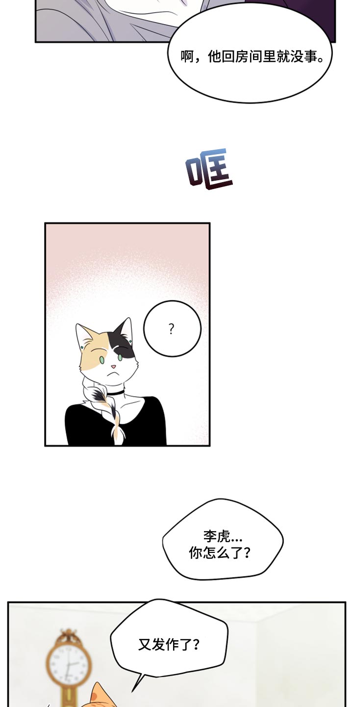 《灵猫欧米伽》漫画最新章节第54章：【第二季】你要丢下我?免费下拉式在线观看章节第【7】张图片