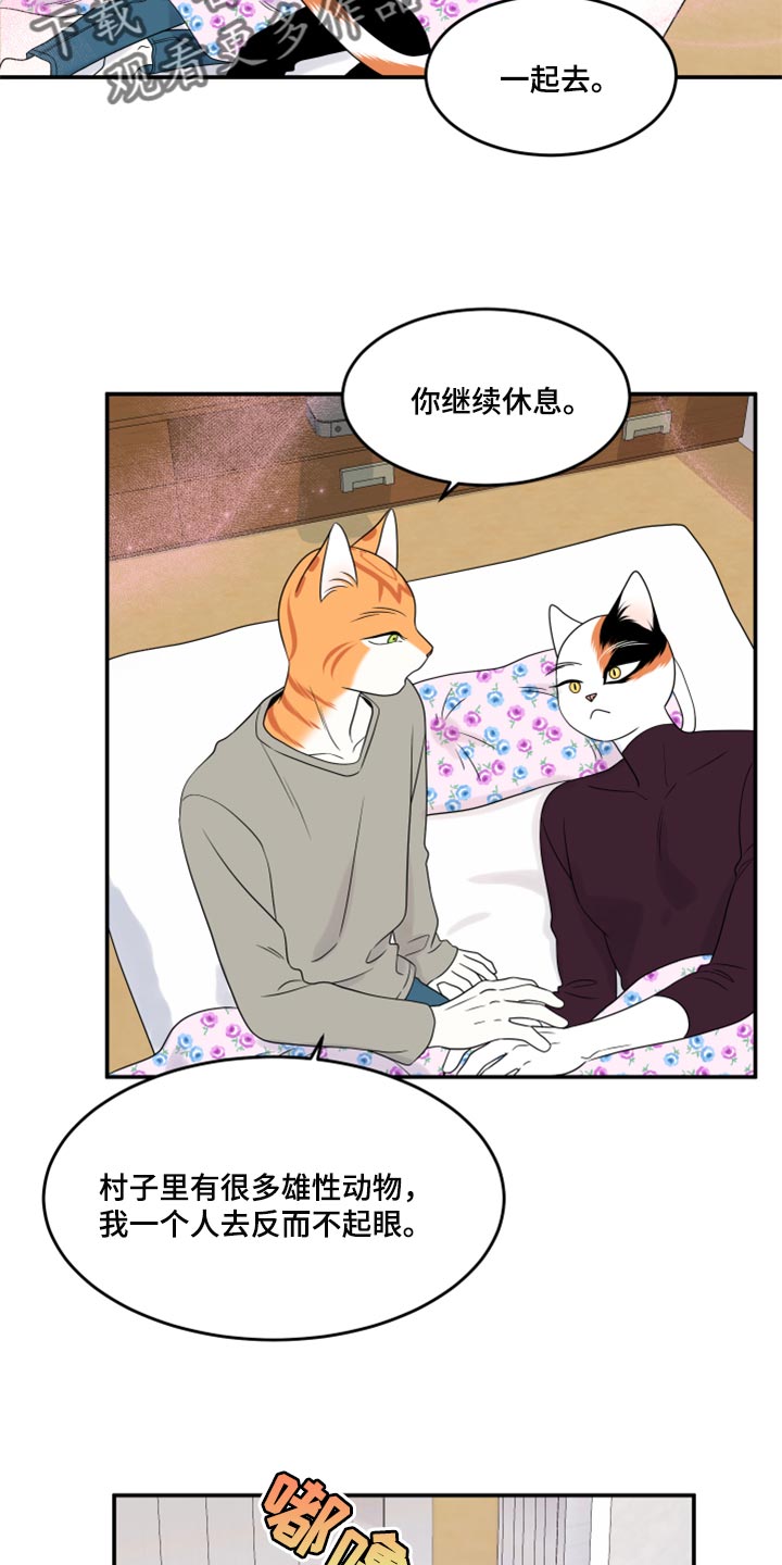 《灵猫欧米伽》漫画最新章节第54章：【第二季】你要丢下我?免费下拉式在线观看章节第【12】张图片