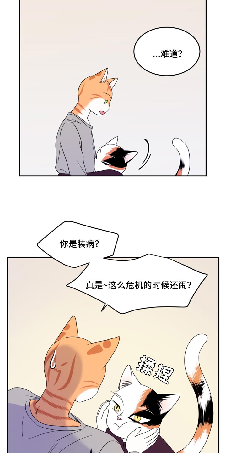 《灵猫欧米伽》漫画最新章节第54章：【第二季】你要丢下我?免费下拉式在线观看章节第【3】张图片