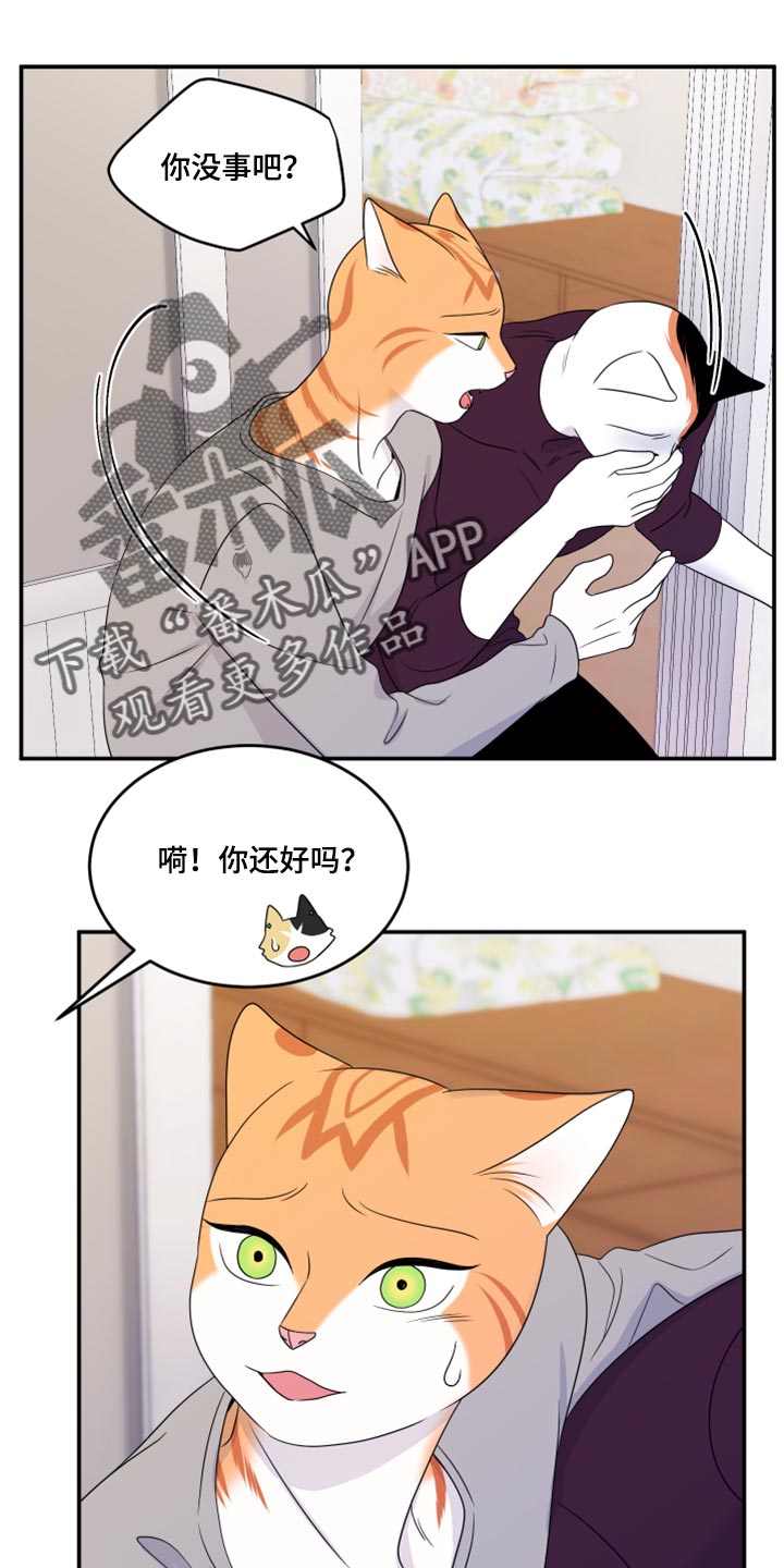 《灵猫欧米伽》漫画最新章节第54章：【第二季】你要丢下我?免费下拉式在线观看章节第【8】张图片