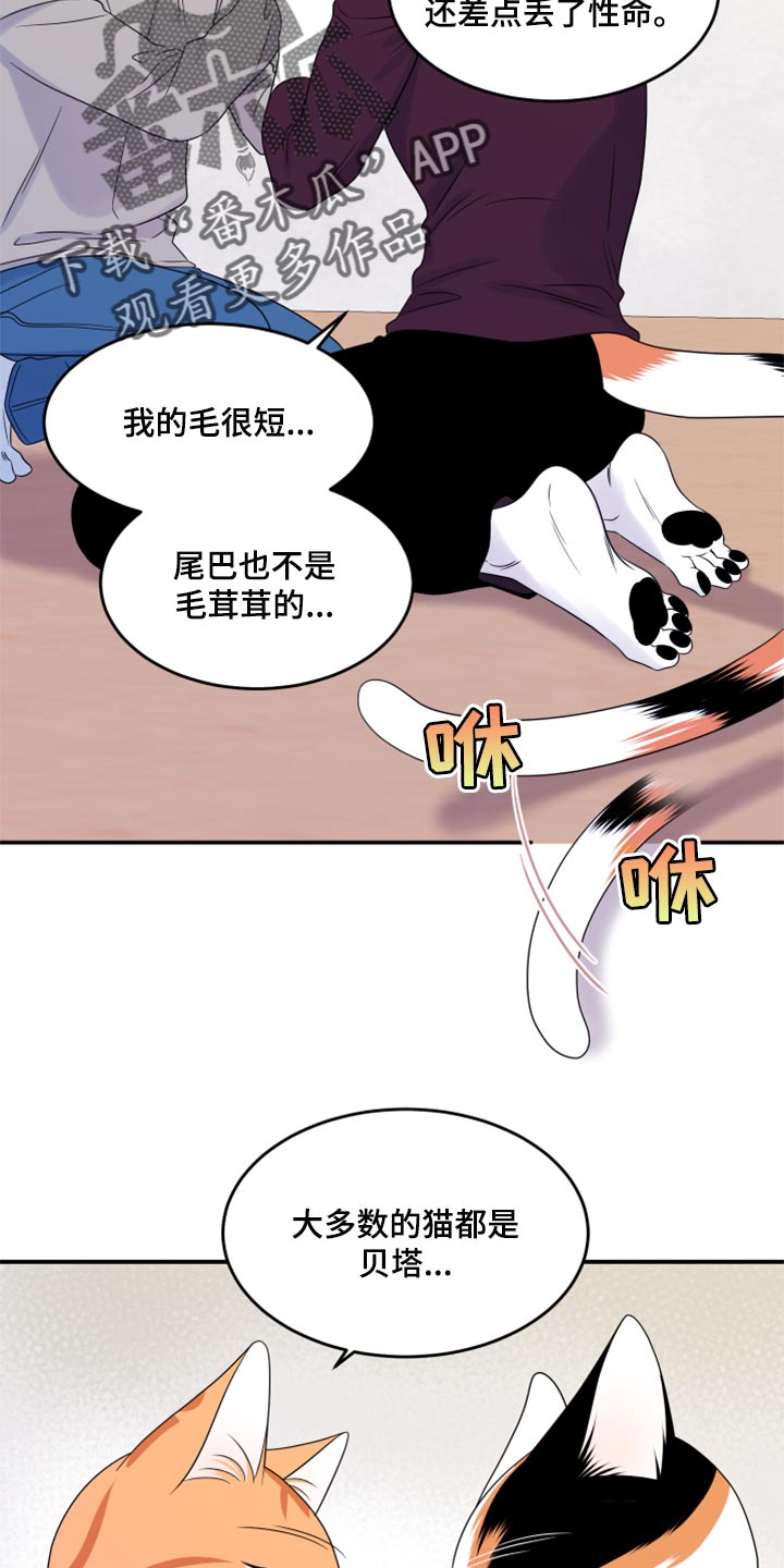 《灵猫欧米伽》漫画最新章节第55章：【第二季】你再坚持一下免费下拉式在线观看章节第【23】张图片