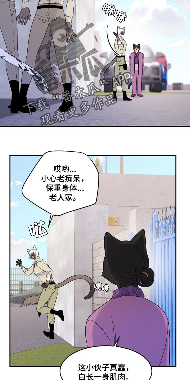 《灵猫欧米伽》漫画最新章节第55章：【第二季】你再坚持一下免费下拉式在线观看章节第【3】张图片