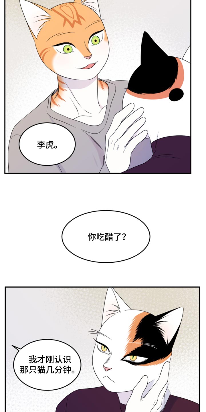 《灵猫欧米伽》漫画最新章节第55章：【第二季】你再坚持一下免费下拉式在线观看章节第【25】张图片