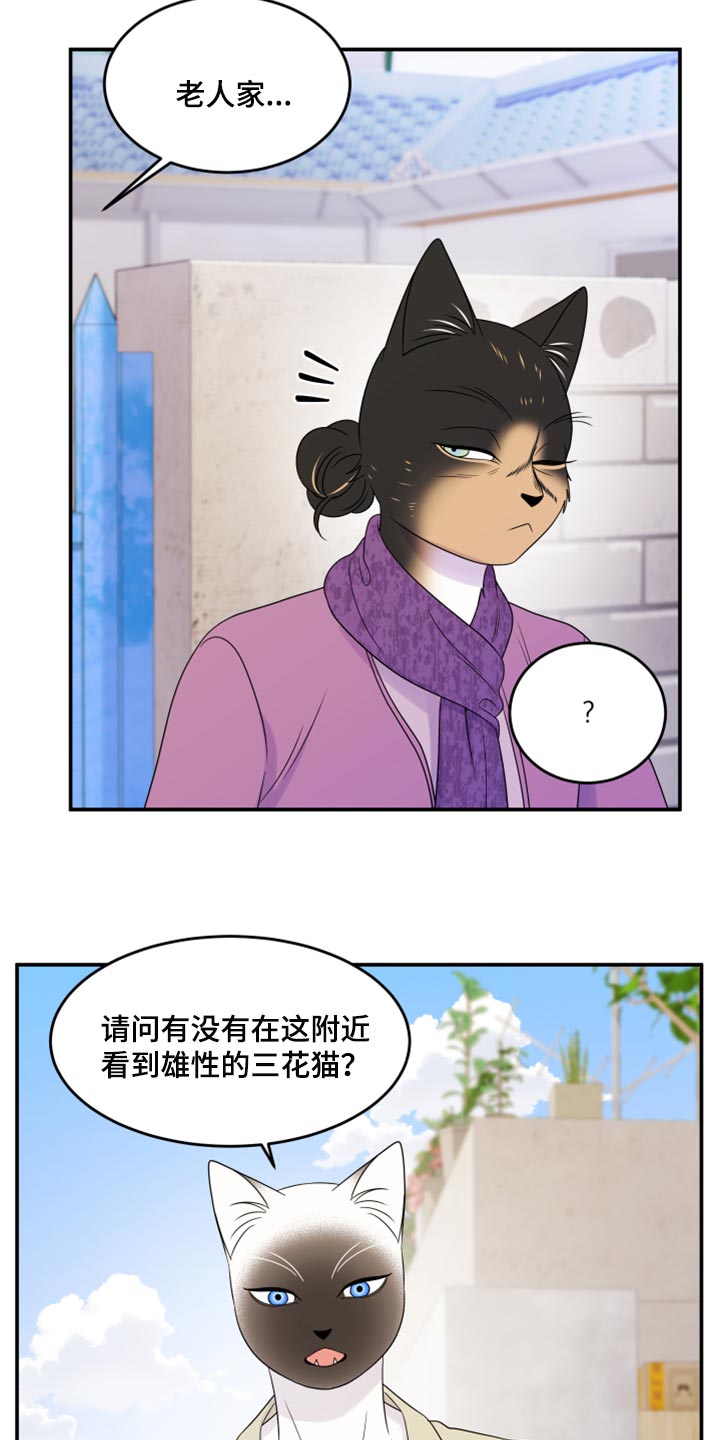 《灵猫欧米伽》漫画最新章节第55章：【第二季】你再坚持一下免费下拉式在线观看章节第【9】张图片