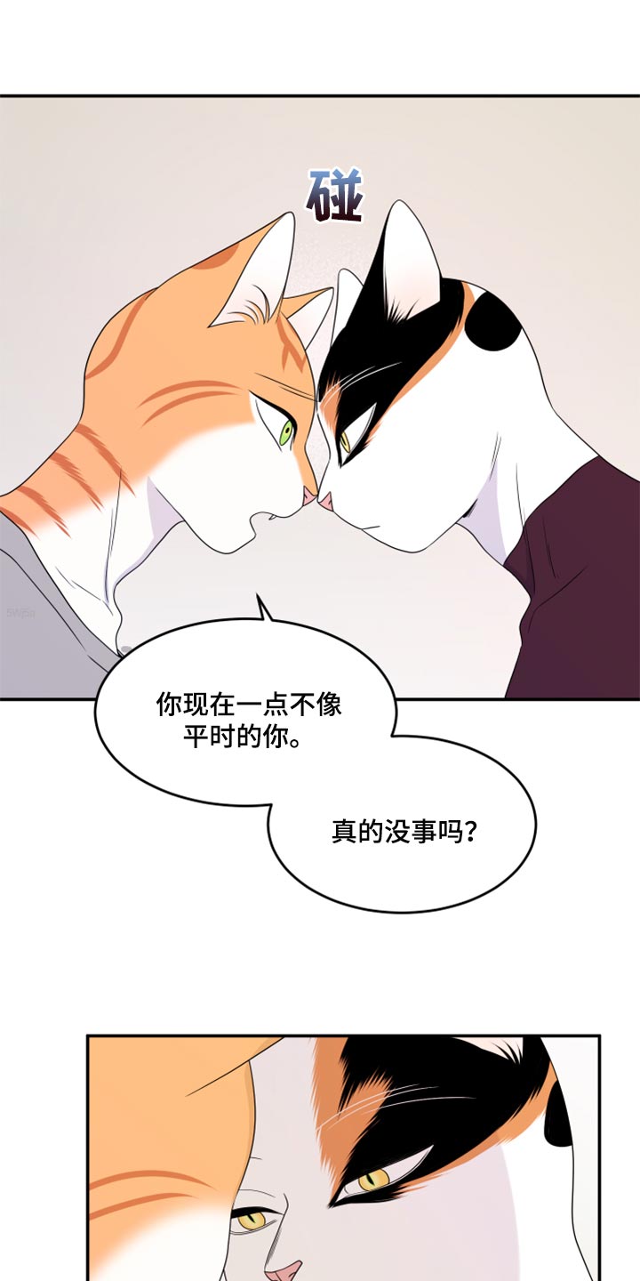 《灵猫欧米伽》漫画最新章节第55章：【第二季】你再坚持一下免费下拉式在线观看章节第【21】张图片