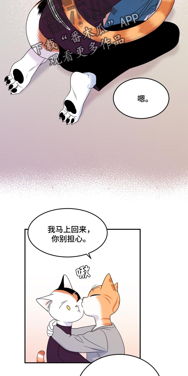 《灵猫欧米伽》漫画最新章节第55章：【第二季】你再坚持一下免费下拉式在线观看章节第【17】张图片