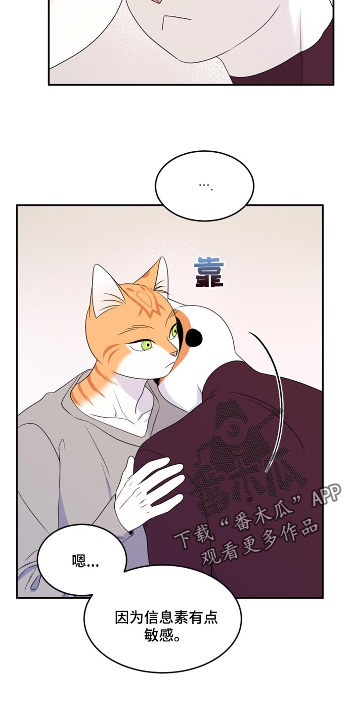 《灵猫欧米伽》漫画最新章节第55章：【第二季】你再坚持一下免费下拉式在线观看章节第【20】张图片