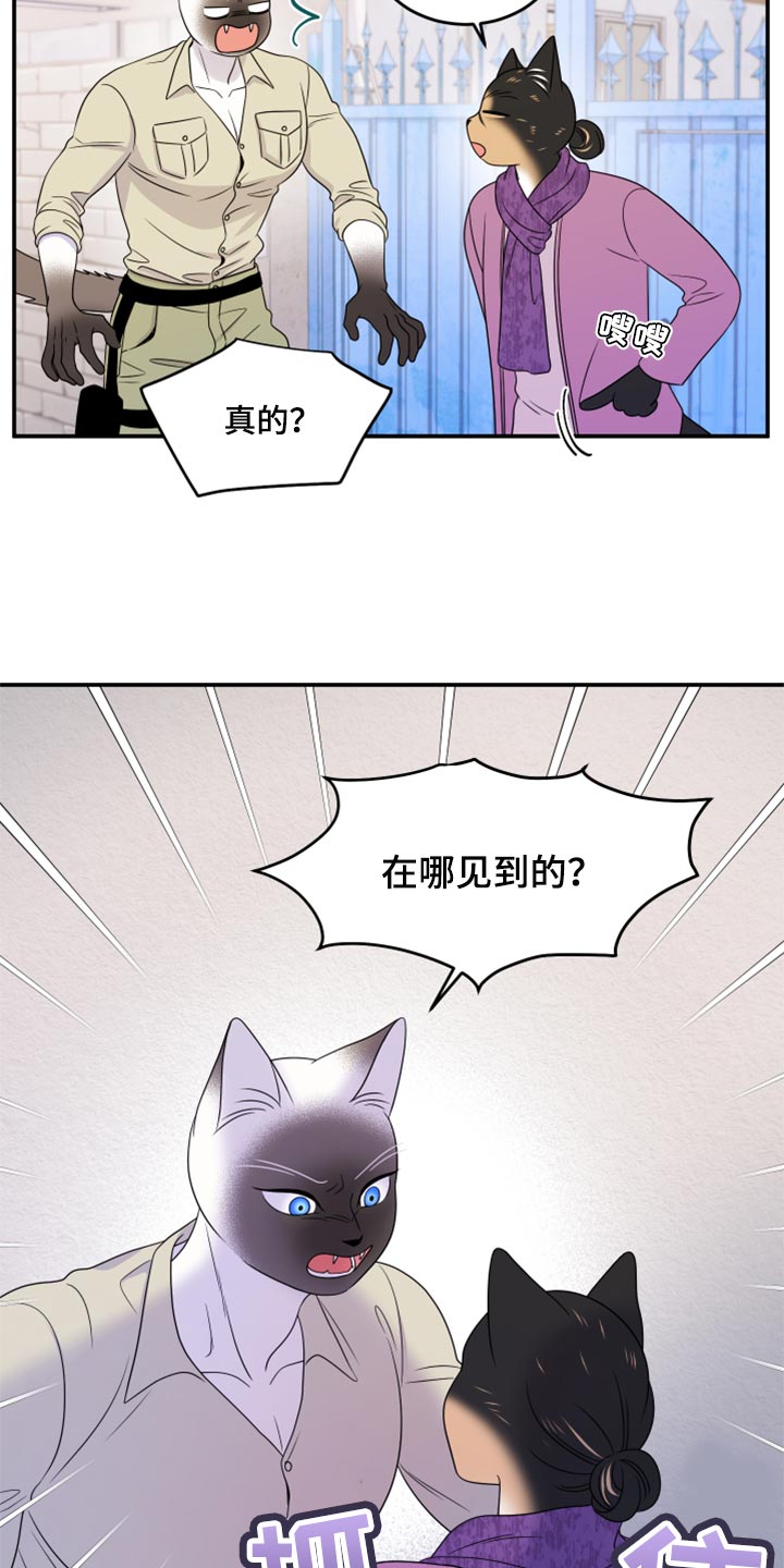 《灵猫欧米伽》漫画最新章节第55章：【第二季】你再坚持一下免费下拉式在线观看章节第【7】张图片