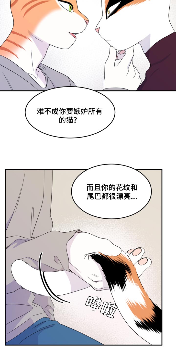 《灵猫欧米伽》漫画最新章节第55章：【第二季】你再坚持一下免费下拉式在线观看章节第【22】张图片