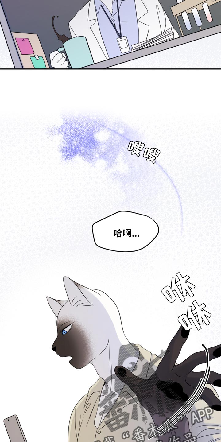 《灵猫欧米伽》漫画最新章节第56章：【第二季】人工阿尔法免费下拉式在线观看章节第【3】张图片