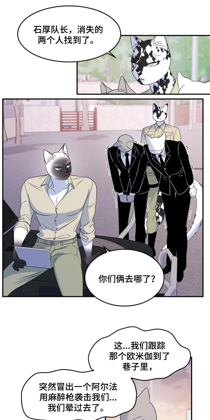 《灵猫欧米伽》漫画最新章节第56章：【第二季】人工阿尔法免费下拉式在线观看章节第【9】张图片