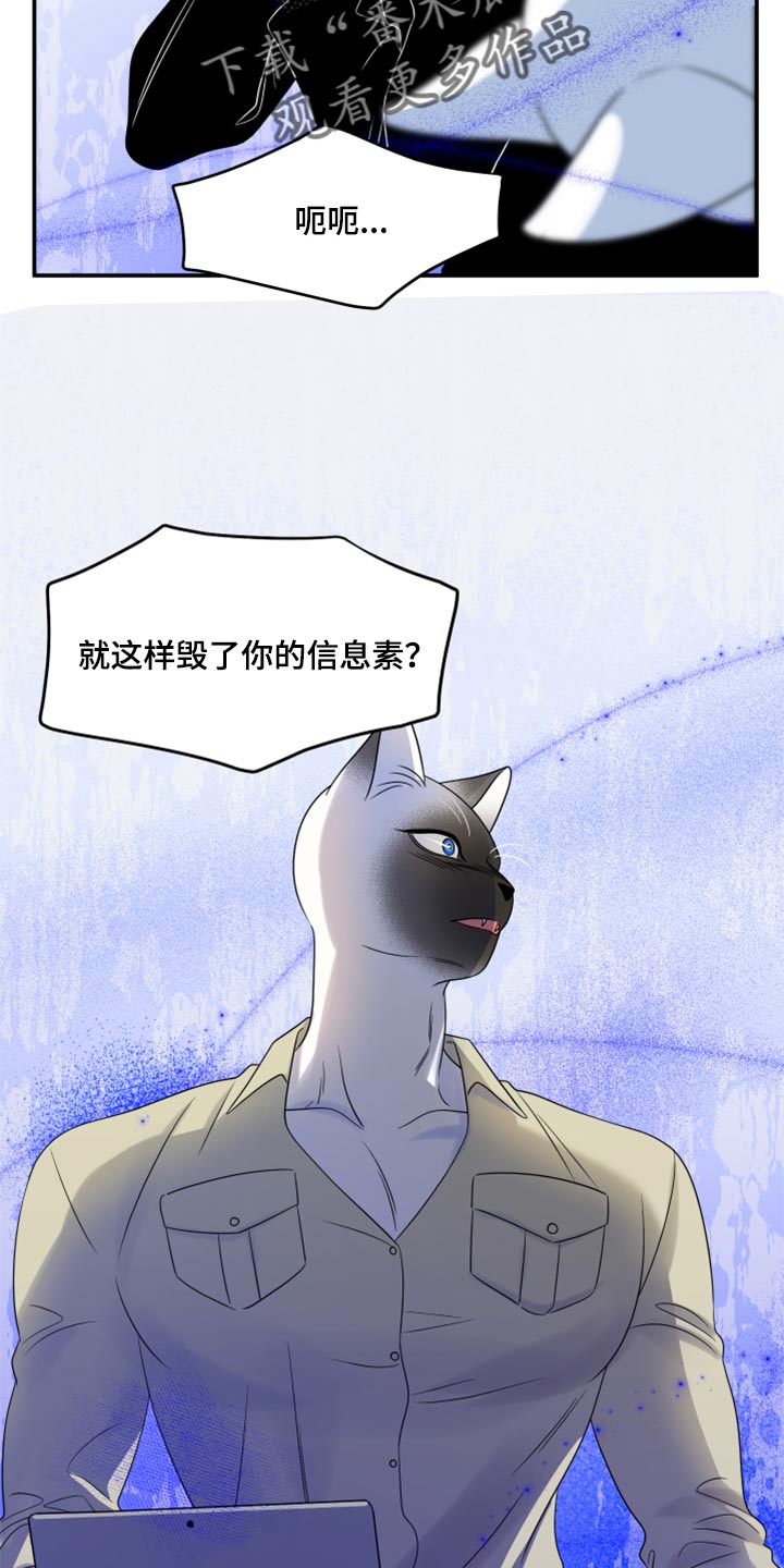 《灵猫欧米伽》漫画最新章节第56章：【第二季】人工阿尔法免费下拉式在线观看章节第【5】张图片